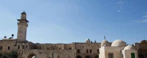 pexels-becca-siegel-792310-1659295